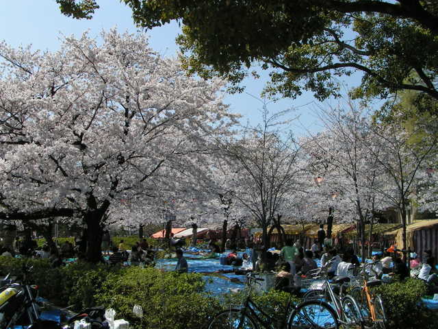 pict2297.jpg